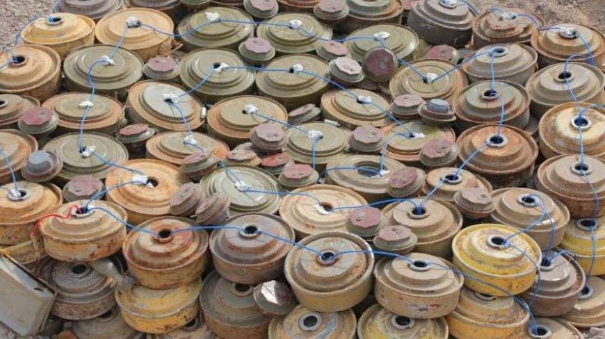 مسام ينزع 4726 لغماً وذخيرة في نوفمبر وتطهير أكثر من 74 مليون متر مربع