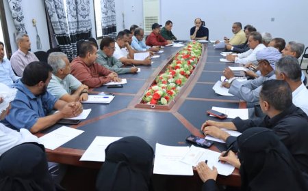 مدير عام دارسعد: يترأس الاجتماع الدوري للمكتب التنفيذي لشهر نوفمبر 2025م