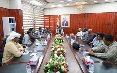 أمين محلي المهرة يبحث مع "الفاو" التدخلات الزراعية ودعم مشاريع محمية حوف