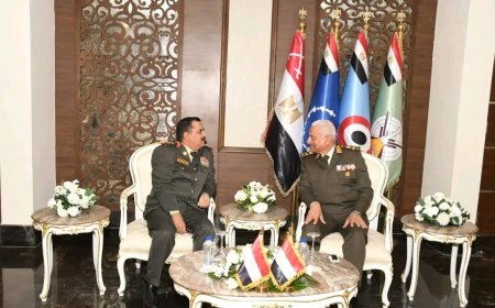وزير الدفاع يلتقي نظيره المصري