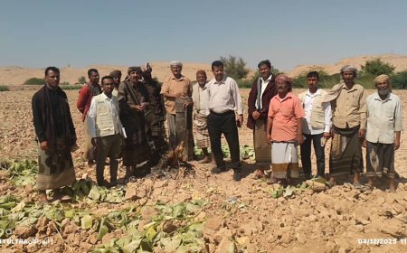 بحضور مدير عام رضوم.. تسليم موقع مشروع منظومة الطاقة الشمسية لمزارعي منطقة الجربة