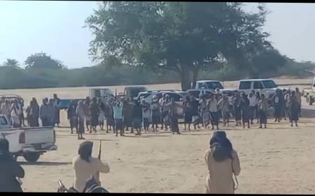 تحكيم قبلي يقضي بالعفو والسماح بين قبيلتي آل اليحاوية وآل امبسطي في أحور