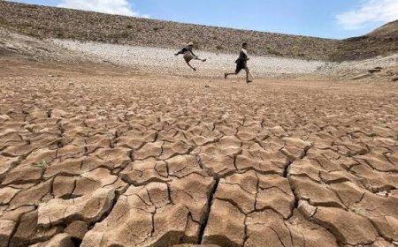 الدائرة المزدوجة:كيف تهدد التغيرات المناخية القطاعين الزراعي والسمكي في بلادنا؟