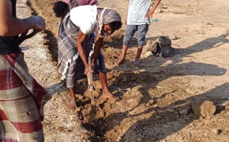 بدء العمل في تسوير ملعب فريق الإنجاز الرياضي بشقرة