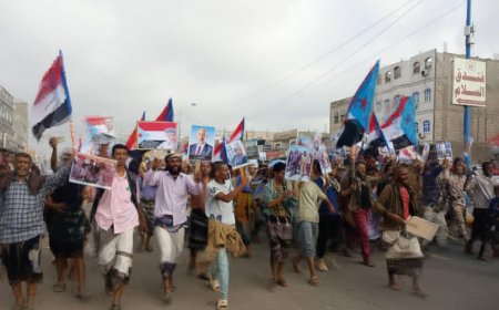 القيادة المحلية للمجلس الانتقالي والسلطة المحلية في مديرية ردفان تنظم مسيرة حاشدة بمناسبة النصر العظيم