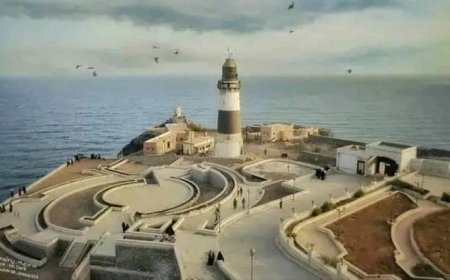 رحيل آخر جندي سعودي من قصر معاشيق في عدن