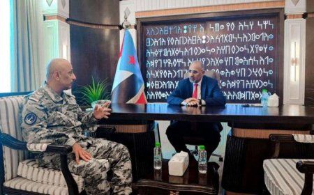 الرئيس الزُبيدي يطّلع على جاهزية خفر السواحل ويشدد على حماية الممرات البحرية الحيوية