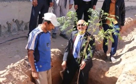 رئيس جامعة شبوة يدشن أعمال التشجير في الحرم الجامعي الجديد ويطلع على مستوى إنجاز كلية الطب