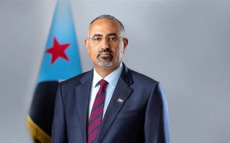 أبناء محافظة لحج يناشدون الرئيس الزبيدي إنقاذهم من أزمات المياه والكهرباء