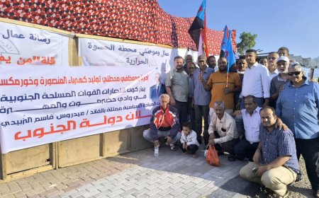 إدارة وموظفو محطتي توليد المنصورة والملعب وخورمكسر يباركون الانتصارات للقوات المسلحة الجنوبية ويطالبون الرئيس عيدروس الزبيدي بإعلان دولة الجنوب