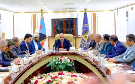 القيادة التنفيذية العليا تشيد بجهود تطبيع الأوضاع بوادي حضرموت والمهرة