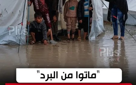 بردٌ يقتل.. وجوعٌ يحاصر.. وصمتٌ يميت أكثر!