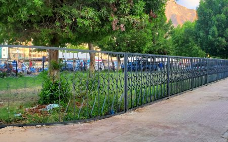 السلطة المحلية بالمكلا تنفذ مشروع حماية الجزر الوسطية والأحواض الزراعية بغار لحمر