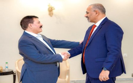 الرئيس الزُبيدي: تحرير الشمال مرهون بوحدة القوى الوطنية وجاهزية الجنوب حاضرة