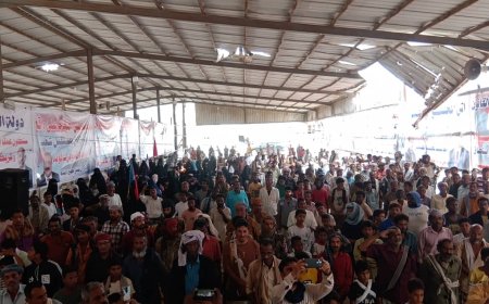 زنجبار تتصدر مشهد الاعتصام السلمي.. حضور نسائي لافت ورسائل سياسية حاسمة