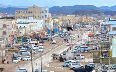 غدًا الأربعاء.. المجلس العام للمقاومة الجنوبية بميفعة يعلن نزولاً ميدانياً لرفع العلم الجنوبي وصور الرئيس في المرافق الحكومية بعاصمة المديرية