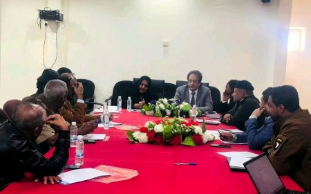 السلطة المحلية بشبوة و«إنترسوس» الإيطالية تبحثان سبل معالجة تدفق الهجرة غير الشرعية على المحافظة