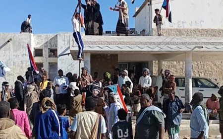 مديرية ميفعة تدشين رفع أعلام الجنوب وصور الرئيس القائد الزبيدي على مؤسسات الدولة