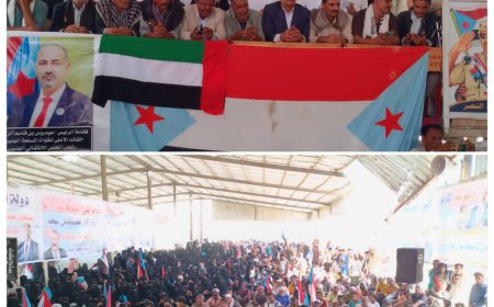 زنجبار تحتشد مجددًا: أبناء أبين يجددون العهد لاستعادة الدولة الجنوبية