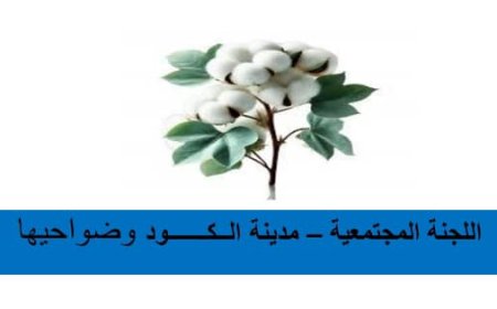 لجنة الكود المجتمعية بخنفر تعلن استقالتها جماعياً 