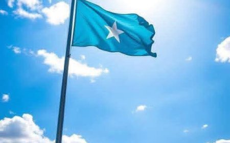 بيان رسمي  من مجلس الوزراء جمهورية الصومال الفيدرالية