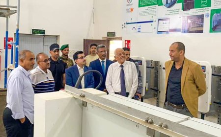 نائب وزير المياه يطلع على المراحل النهائية لمشروع محطة الطاقة الشمسية في حقل بئر ناصر