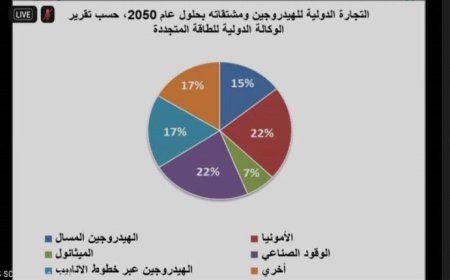 كلية العلوم بجامعة عدن تشارك في برنامج علمي حول صناعة الهيدروجين