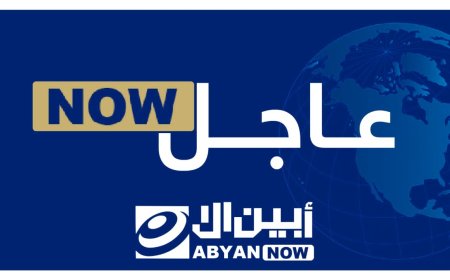 عاجل.. بيان تأييد صادر عن وزارة الكهرباء والطاقة