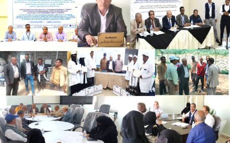 من الركود إلى النهضة.. مكتب الزراعة بــ«تعز» يطلق مرحلة تحول تاريخية في زمن التحديات