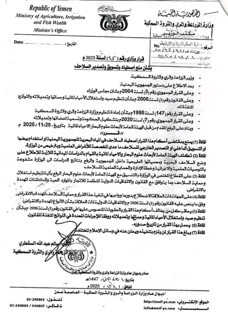 قرار وزاري بشأن منع اصطياد وتسويق وتصدير السلاحف لحمايتها من الانقراض في المياه