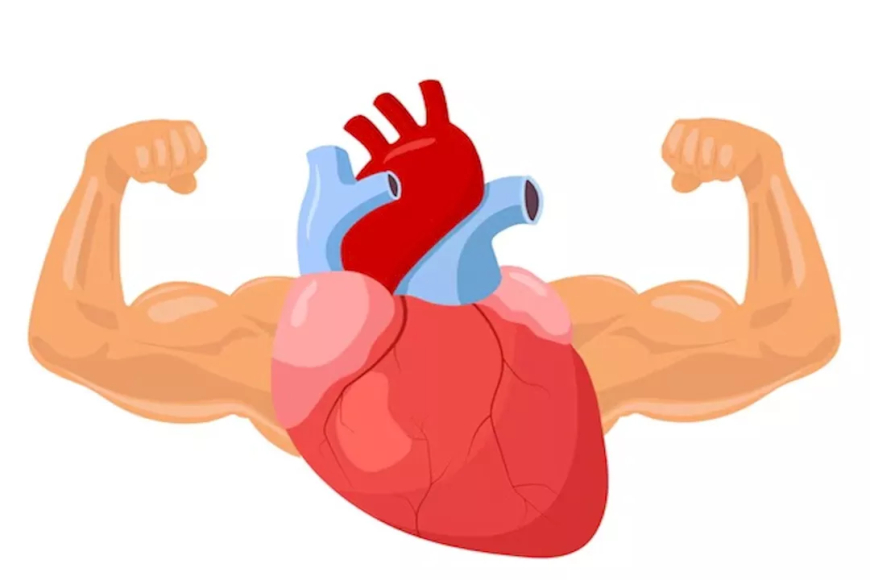 ما هى علامات القلب السليم؟
