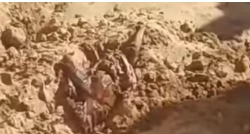 مأرب.. العثور على طفل مقطع داخل ثوب في وادي عبيدة