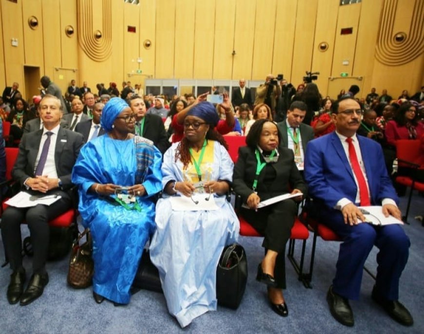 سفير اليمن عميد السلك الدبلوماسي بتونس يحضر الجلسة الافتتاحية لاشغال الدورة السادسة للمنتدى الإفريقي رفيع المستوى حول المرأة و السلم و الأمن