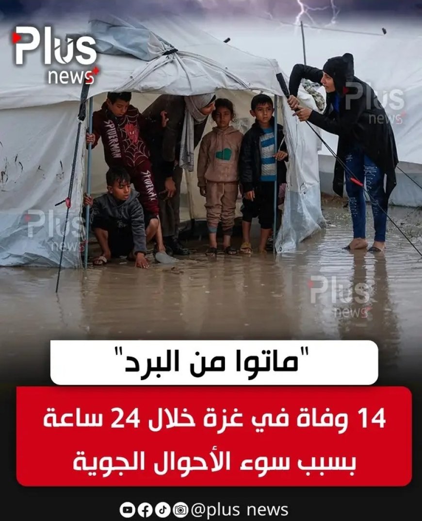 بردٌ يقتل.. وجوعٌ يحاصر.. وصمتٌ يميت أكثر!