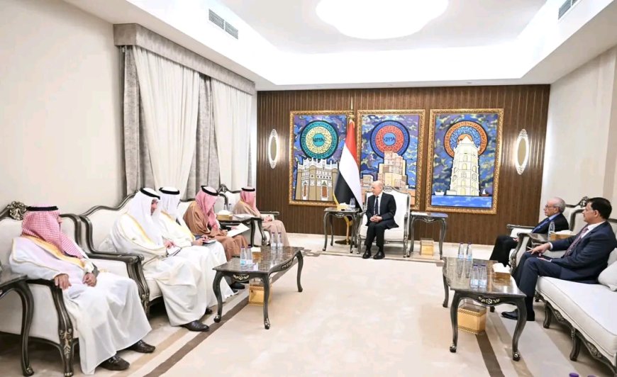 رئيس مجلس القيادة يستقبل الأمين العام لمجلس التعاون لدول الخليج العربية