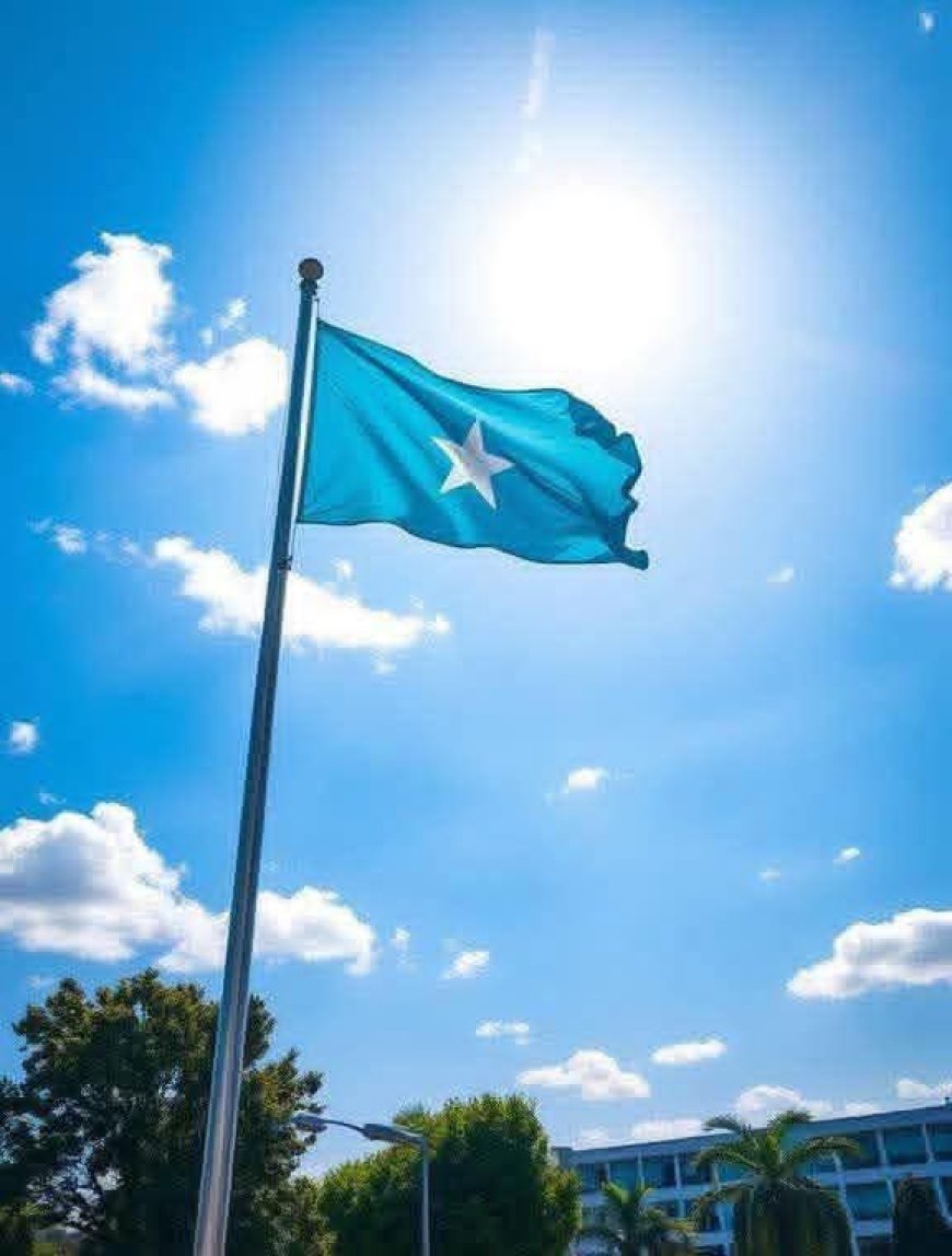 بيان رسمي  من مجلس الوزراء جمهورية الصومال الفيدرالية