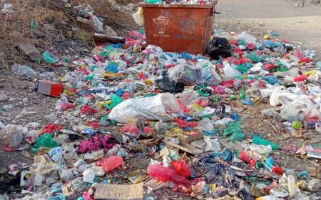 انتشار القمامة في حي المثلث وإهمال متعمد يؤدي إلى تكاثر الحشرات