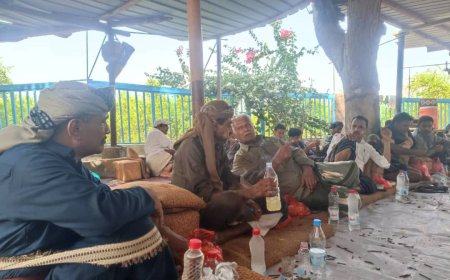 بيان لشيوخ قبائل دلتا أبين يعلن تأييد مسار الحوار الجنوبي الجنوبي برعاية سعودية ويرفض لغة السلاح غير الشرعي