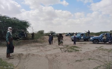 حملة أمنية مشتركة في أبين تُسفر عن استعادة سيارة تابعة لمنظمة نزع الألغام