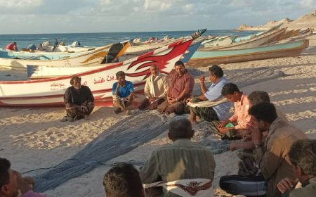 بتوجيه الوزير السقطري.. نزول فريق من هيئة المصائد السمكية في سقطرى لدراسة ظاهرة نفوق الروبيان