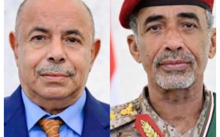 لتعيينهما في مجلس القيادة الرئاسي.. رئيس جامعة عدن يبعث ببرقية تهنئة للصبيحي والخنبشي