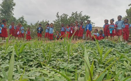 أبين.. رحلة ترفيهية لأطفال روضة الفتح بالمسيمير خنفر.  