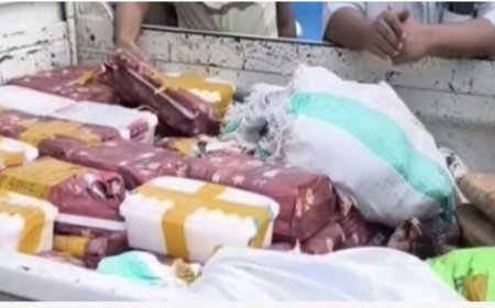 القوات البحرية تحبط تهريب مخدرات بينها "الشبو " قرب باب المندب وضبط 204 كغ.....