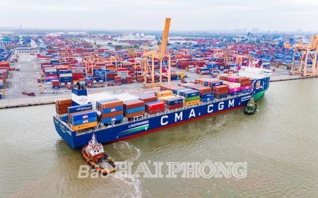 الاستقلال الاستراتيجي لفيتنام يبلغ آفاقًا جديدة