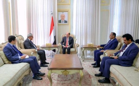 رئيس الوزراء يستقبل السفير المصري لدى اليمن