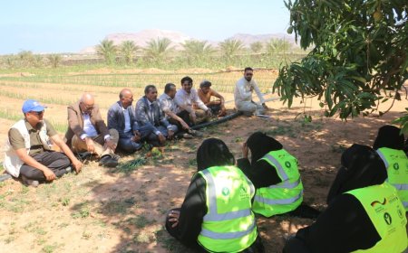 وفد وزارة الزراعة يقوم بزيارة ميدانية إلى مزرعة معنوفة بسقطرى