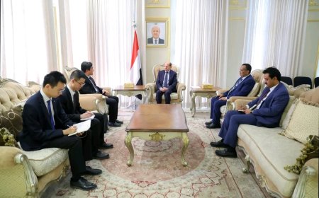 رئيس الوزراء يستقبل القائم بأعمال السفارة الصينية