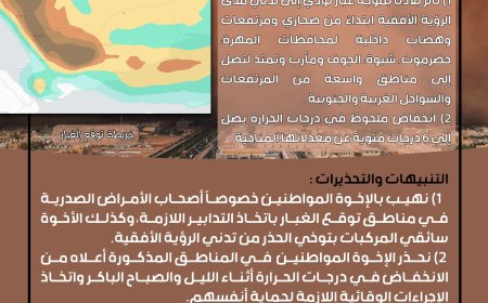 الأرصاد تتوقع تأثر بلادنا بموجة غبار مع انخفاض في درجات الحرارة