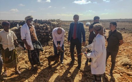 وفد وزارة الزراعة ينفذ زيارة ميدانية إلى منطقتي دكسم ونوجد للاطلاع على أوضاع القطاع الزراعي