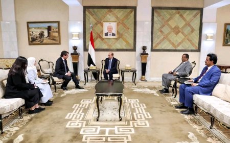 رئيس الوزراء يستقبل سفير البرتغال غير المقيم لدى اليمن